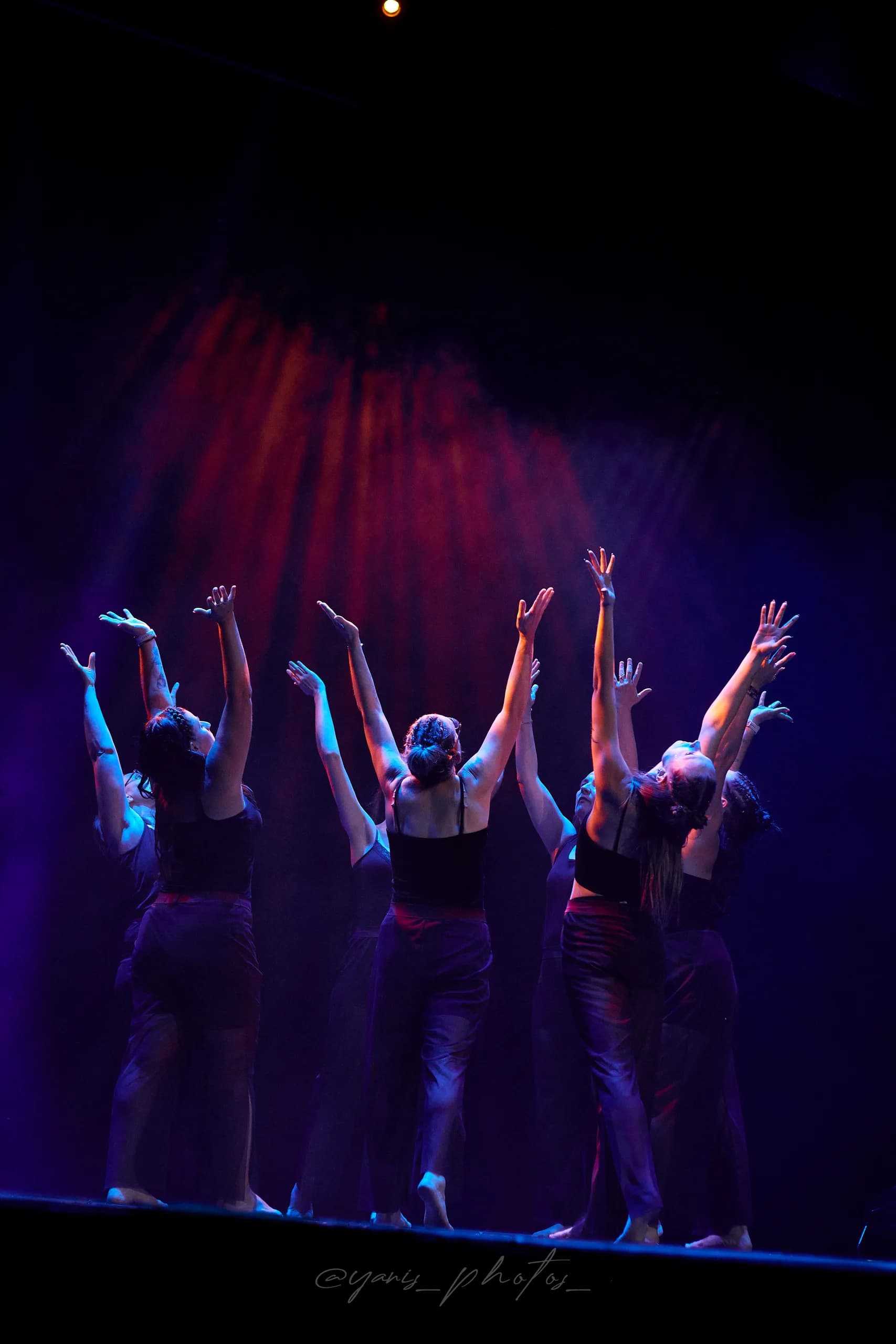 Gala C-ArtDanse 2025, en images